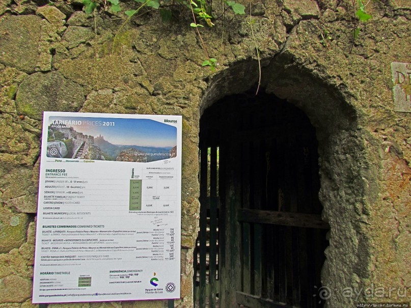 Живописная тропа в реликтовом лесу Синтры