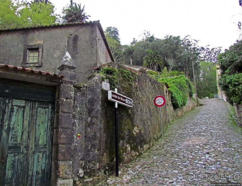 Живописная тропа в реликтовом лесу Синтры