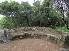 Живописная тропа в реликтовом лесу Синтры