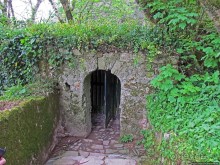 Живописная тропа в реликтовом лесу Синтры