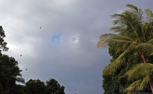 Тишина на берегу Тихого океана (Санта Каталина, Панама)