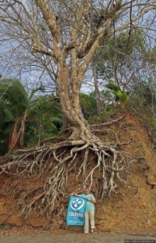 Тишина на берегу Тихого океана (Санта Каталина, Панама)