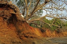 Тишина на берегу Тихого океана (Санта Каталина, Панама)