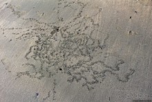 Тишина на берегу Тихого океана (Санта Каталина, Панама)