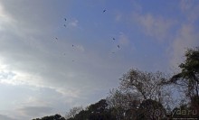 Тишина на берегу Тихого океана (Санта Каталина, Панама)