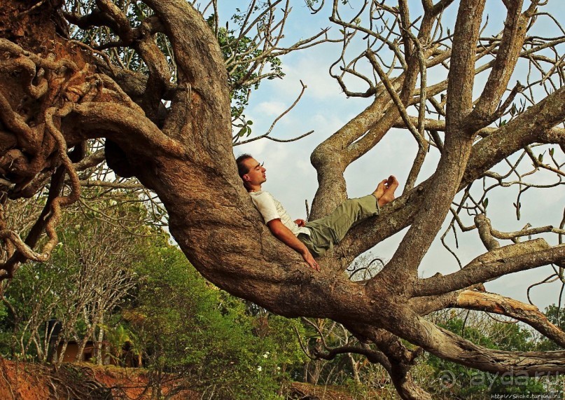 Тишина на берегу Тихого океана (Санта Каталина, Панама)