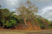 Тишина на берегу Тихого океана (Санта Каталина, Панама)