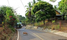 Тишина на берегу Тихого океана (Санта Каталина, Панама)