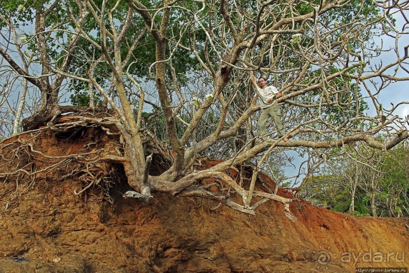 Тишина на берегу Тихого океана (Санта Каталина, Панама)