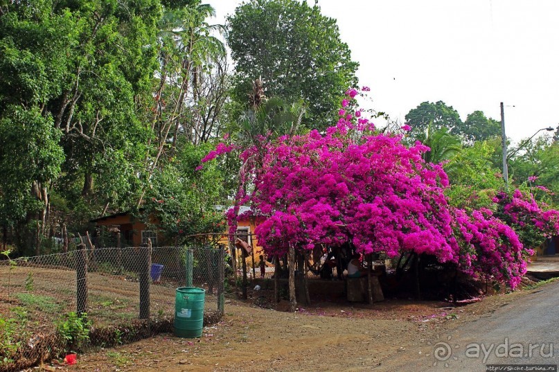 Тишина на берегу Тихого океана (Санта Каталина, Панама)