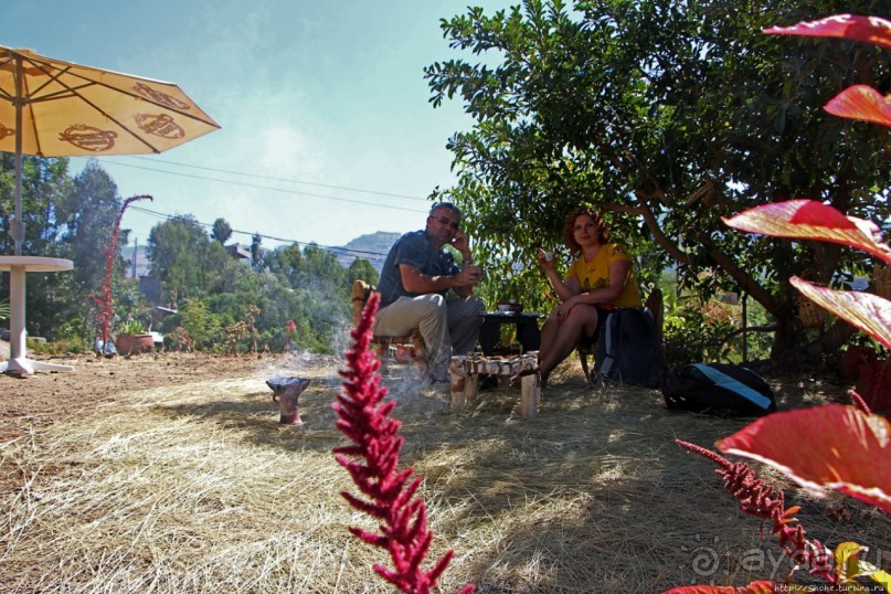 Здесь кофе подает очень красивая эфиопская девушка