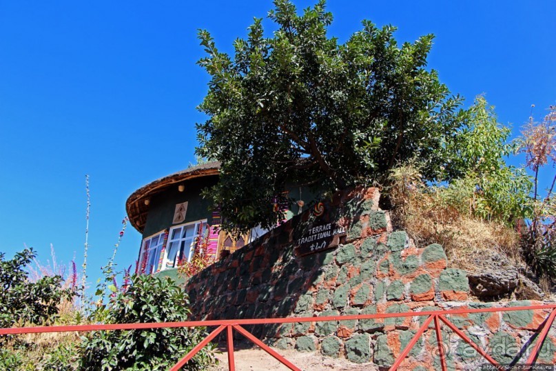 Здесь кофе подает очень красивая эфиопская девушка