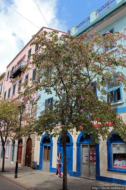 Пешеходные улицы Гибралтара Main Street и Irish Town Street