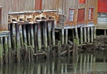 Домики на сваях — визитная карточка Тронхейма