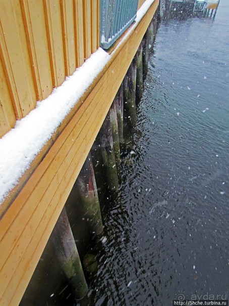 Домики на сваях — визитная карточка Тронхейма