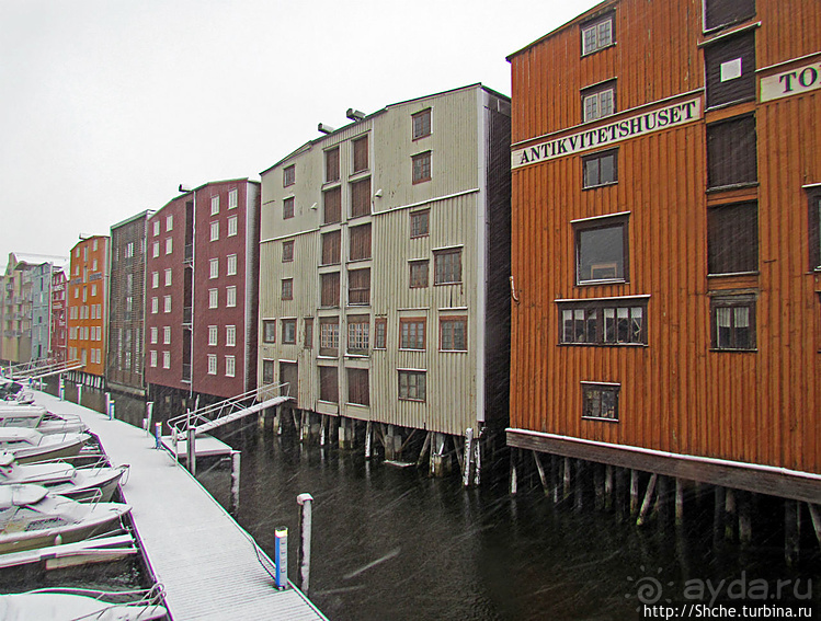 Домики на сваях — визитная карточка Тронхейма