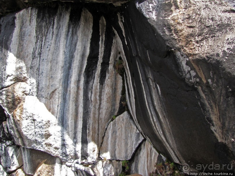 Zebra Rock. Акклиматизация на Килиманджаро на 3700-4100 м.