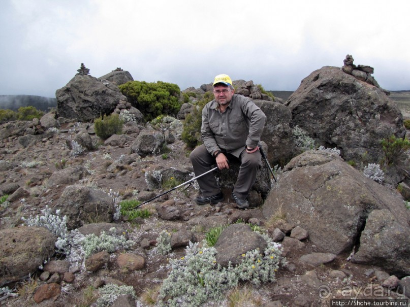 Zebra Rock. Акклиматизация на Килиманджаро на 3700-4100 м.