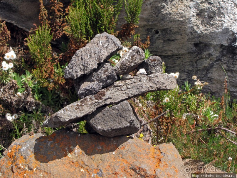 Zebra Rock. Акклиматизация на Килиманджаро на 3700-4100 м.