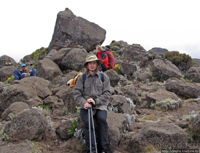 Zebra Rock. Акклиматизация на Килиманджаро на 3700-4100 м.