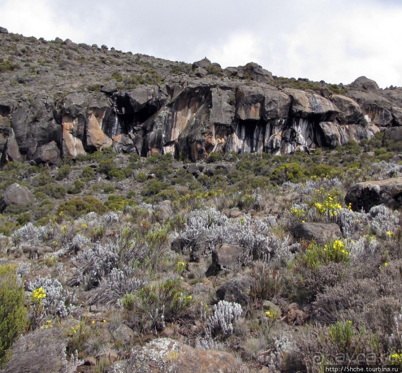 Zebra Rock. Акклиматизация на Килиманджаро на 3700-4100 м.