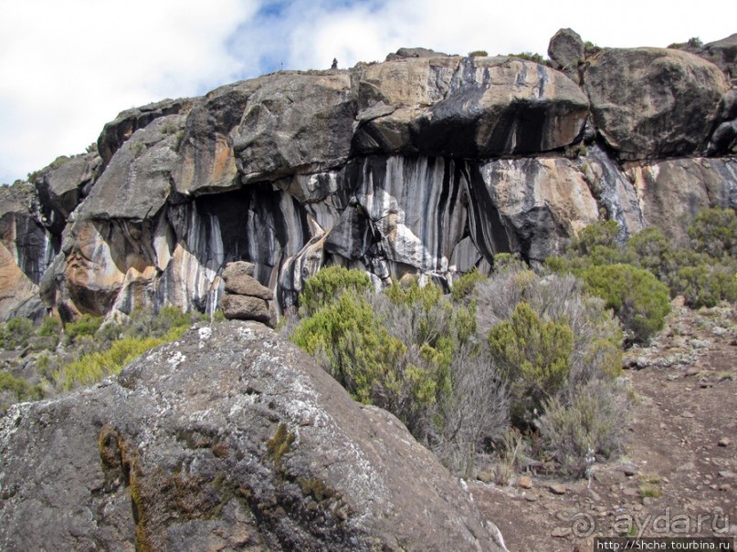 Zebra Rock. Акклиматизация на Килиманджаро на 3700-4100 м.