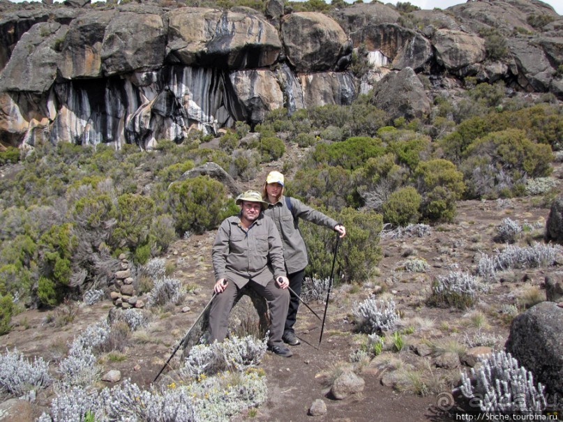 Zebra Rock. Акклиматизация на Килиманджаро на 3700-4100 м.