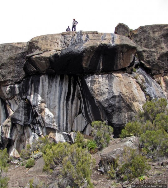 Zebra Rock. Акклиматизация на Килиманджаро на 3700-4100 м.