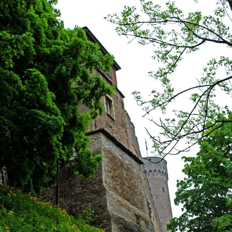 Ревельская крепость — борокко в каменной твердыне