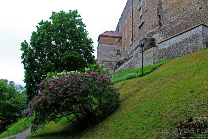 Ревельская крепость — борокко в каменной твердыне
