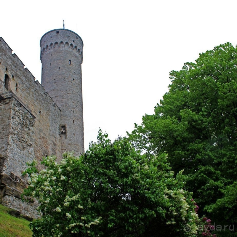 Ревельская крепость — борокко в каменной твердыне