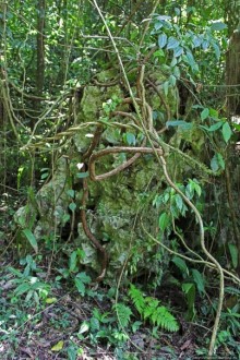 Канделария — край "диких" пещер Гватемалы