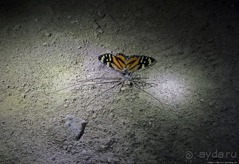 Канделария — край "диких" пещер Гватемалы