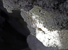 Канделария — край "диких" пещер Гватемалы