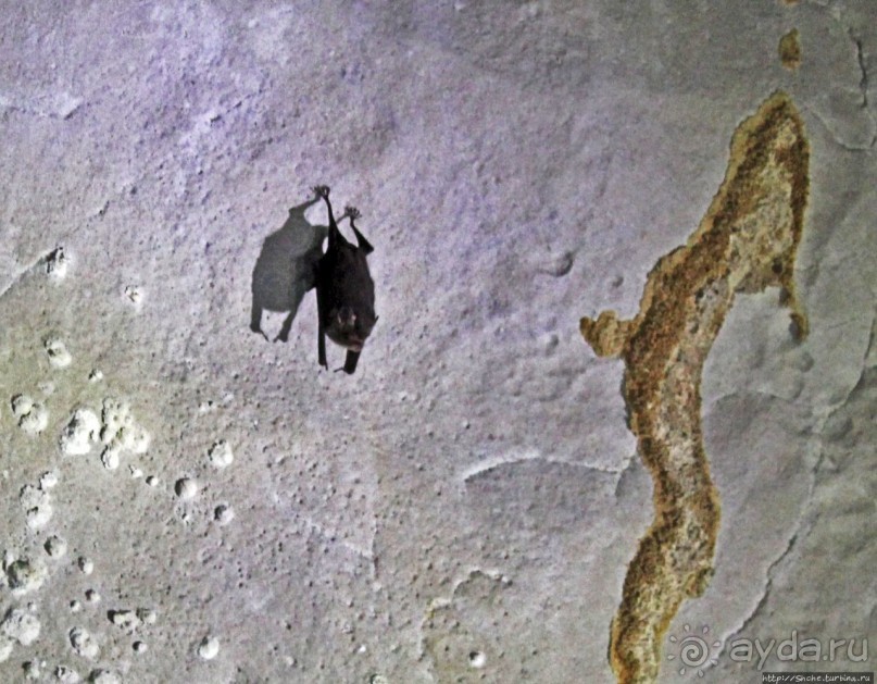 Канделария — край "диких" пещер Гватемалы