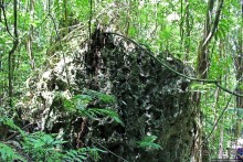 Канделария — край "диких" пещер Гватемалы