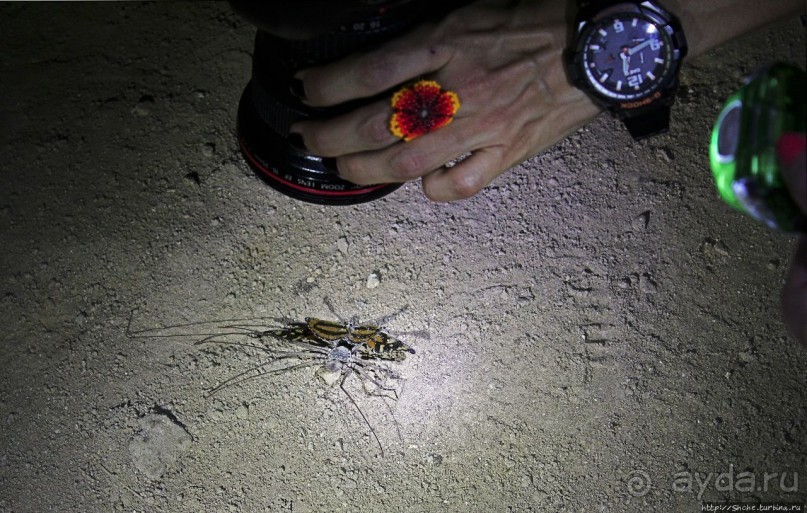 Канделария — край "диких" пещер Гватемалы