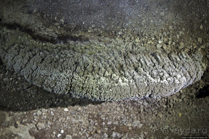 Альбом отзыва "Канделария — край "диких" пещер Гватемалы"