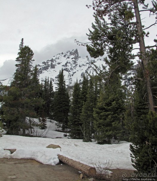Гора Grand Teton и озеро Taggart, по нац.парку на авто