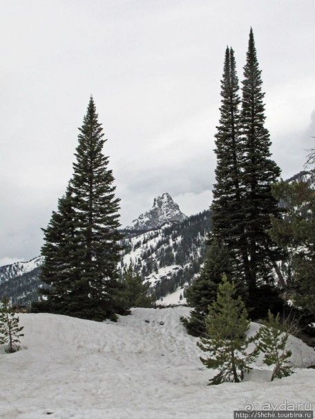 Гора Grand Teton и озеро Taggart, по нац.парку на авто