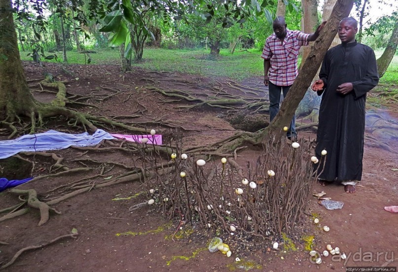 Африканская мистика — Норы смерти Валюмбе Африканская мистика — Норы смерти Валюмбе