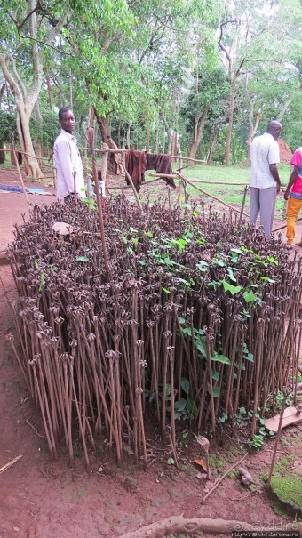 Африканская мистика — Норы смерти Валюмбе Африканская мистика — Норы смерти Валюмбе