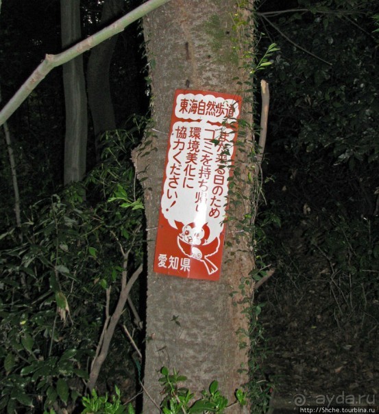 Второе посещение храма Utsutsu, сумерки...