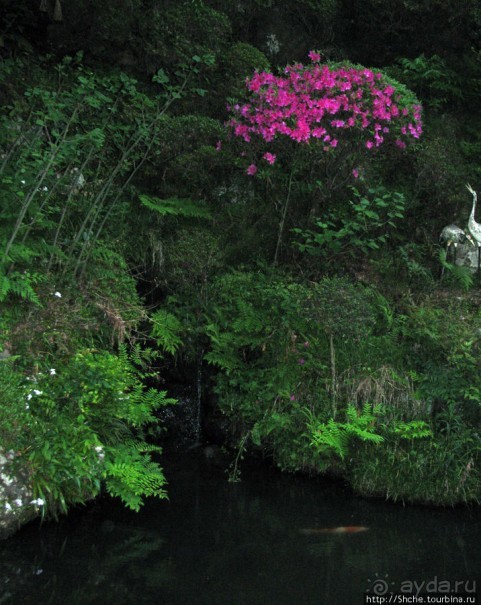 Второе посещение храма Utsutsu, сумерки...