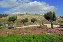 Палестина: земля олив и виноградников. Объект ЮНЕСКО №1492