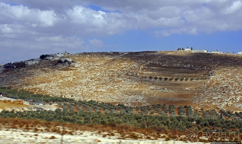 Палестина: земля олив и виноградников. Объект ЮНЕСКО №1492