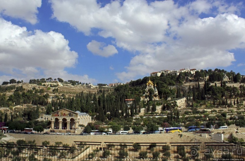 Палестина: земля олив и виноградников. Объект ЮНЕСКО №1492