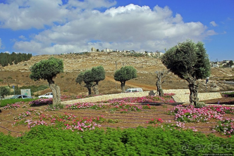 Палестина: земля олив и виноградников. Объект ЮНЕСКО №1492