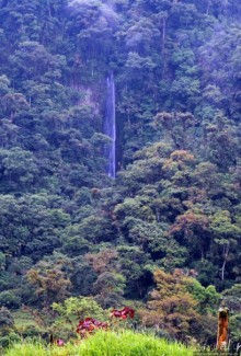 N.P. Cayambe-Coca — горы, реки, водопады. Дорога в облаках
