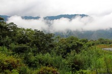 N.P. Cayambe-Coca — горы, реки, водопады. Дорога в облаках